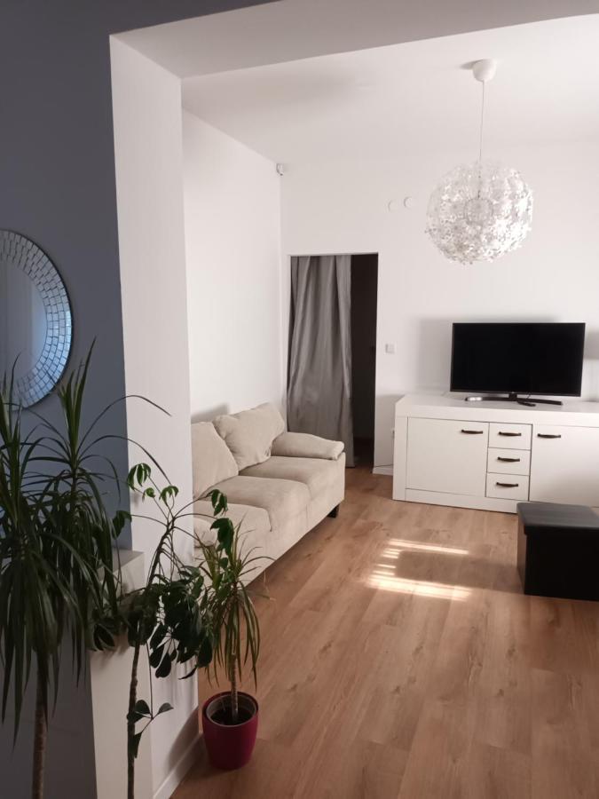 David Apartment Umag Bagian luar foto